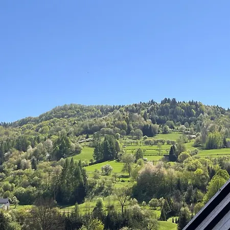 Pieninskie Tarasy Chalet